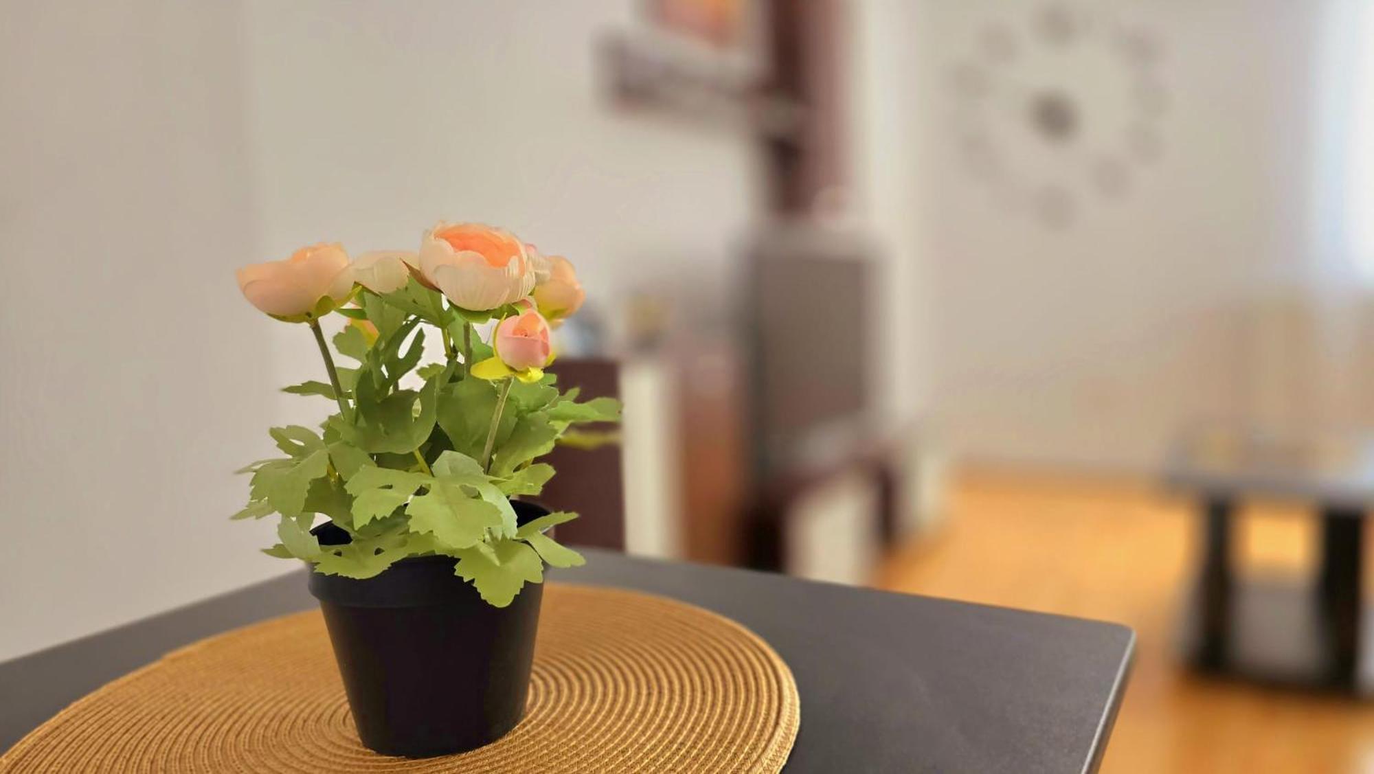 Apartament Confort Hd Hunedoara Esterno foto